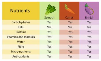 Nutritional & Medicinal Values of Vegetables - National Nutrition Week